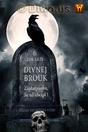 Divnej Brouk - náhrobní kámen, havran, měsíc, smrtka v kápi s kosou, hřbitov, hrob, lebka, noc, noir, Exitus est sensus vitae