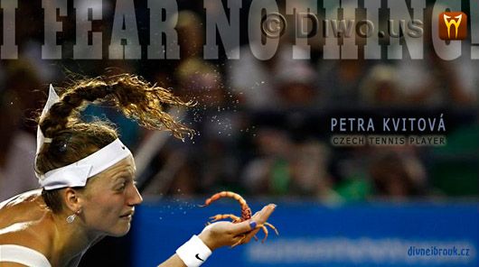 Divnej Brouk - Petra Kvitová - Czech tennis player, next World number one, No.1, WTA, yellow scorpion, I FEAR NOTHING!, NEBOJÍM SE NIČEHO!