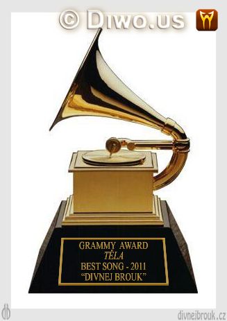 divnej brouk - grammy award, cena, udělování, Národní akademie hudebního umění a věd USA, zlatý gramofon, skupina Těla