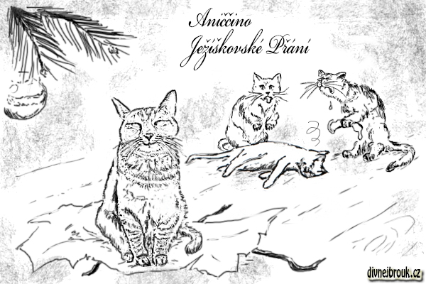 divnej brouk - kresba, kočka, kocour, vánoční dáreček, stromeček, koule, ozdoba