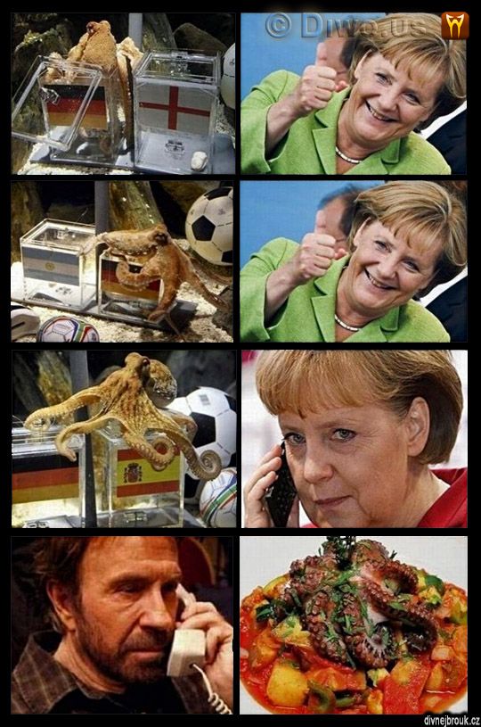 divnej brouk - chobotnice Paul, Chuck Norris, Angela Merkelová, Německo, Euro ME 2008, MS 2010 fotbal