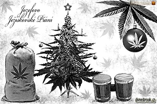 divnej brouk - kresba, vánoce, stromeček, vánoční dekorace, kytka, tráva, marihuana, list, pytel, bongo, bonga, joint, brčko, špek, hulení