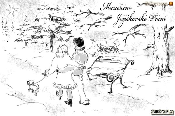 divnej brouk - kresba, zamilovaný pár, zimní krajina, zasnežený park, lavička, sníh, procházka, pejsek, stromy, kožich