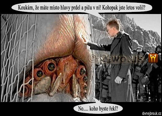 divnej brouk - Jiří Paroubek volič, volby, sci-fi monster, prdel, píča