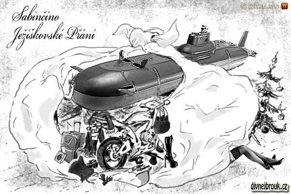 divnej brouk - kresba, vánoční dárky, stromeček, kozačky, kabát, foťák, kabelka, kufr, kniha, korzet, podvazky, kadeřník, monoploutev, neoprenové rukavice, Honda CBR 600F, jaderná ponorka