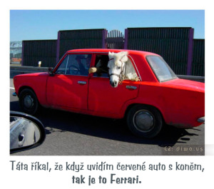 Diwous - Ferrari, Lada, červené auto, kůň, vtip, humor
