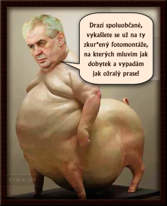 Diwous - PrasoZeman Miloš Zeman vepř, humor, kunda, prase, prezident, vtip